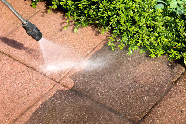 Best Exterior Home Cleaning  in Rockville, MN